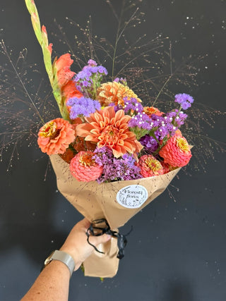Semillas Zinnia Oklahoma Salmon
