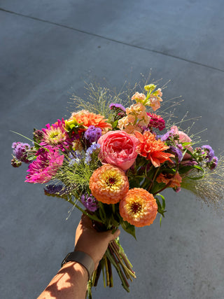 Semillas Zinnia Oklahoma Salmon