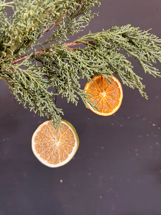 Pack 15 rodajas de naranja deshidratadas