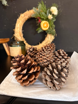 Pack limas decoración natural